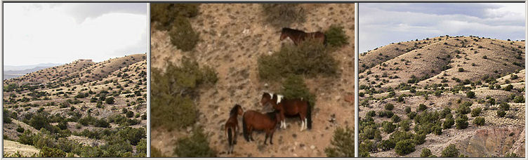 Wild Horse Mesa Placitas New Mexico