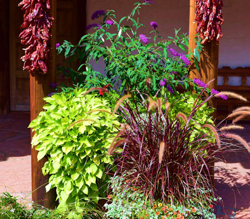 new mexico custom courtyard